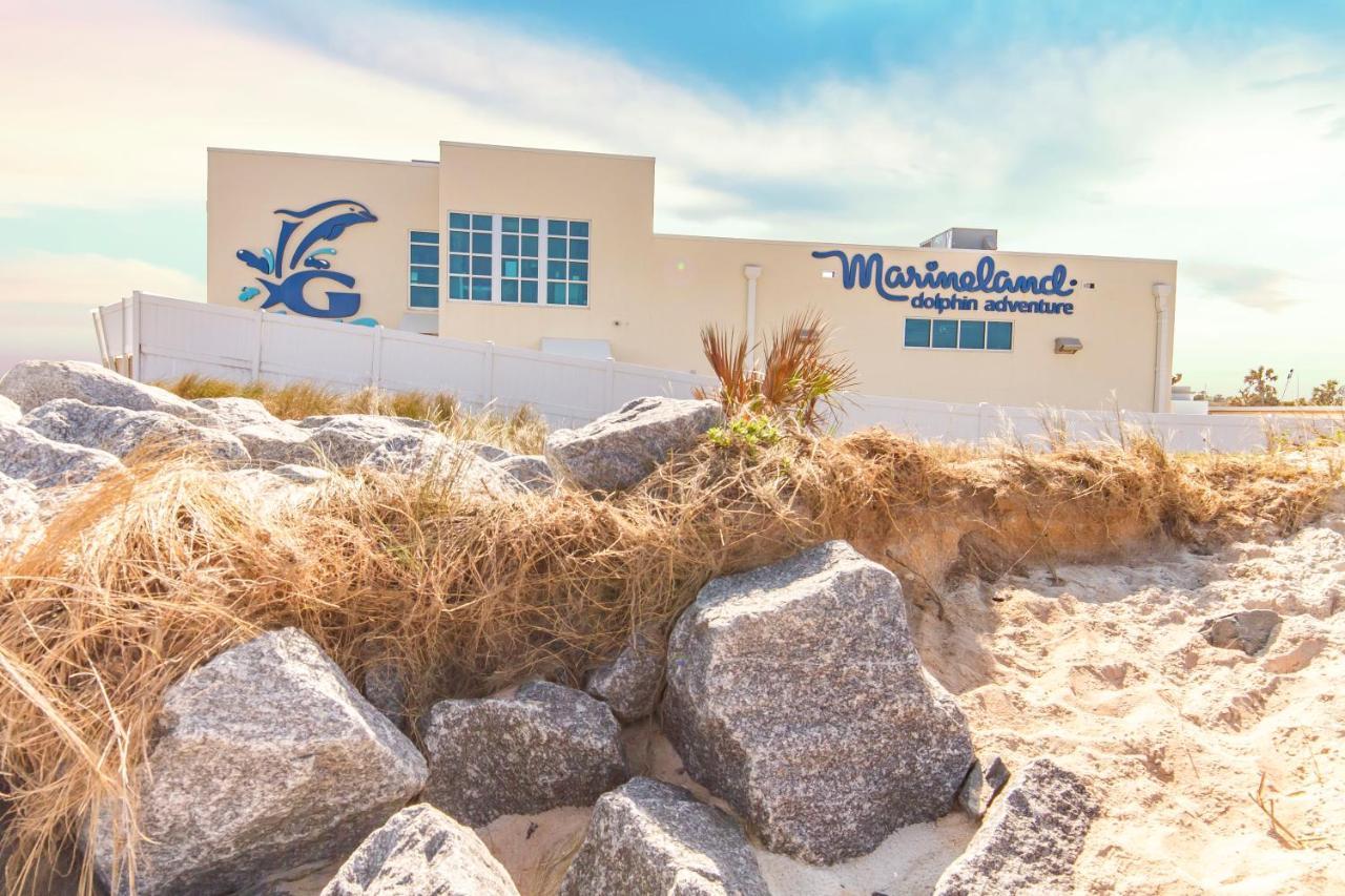Ocean Village Club D23 Saint Augustine Eksteriør billede